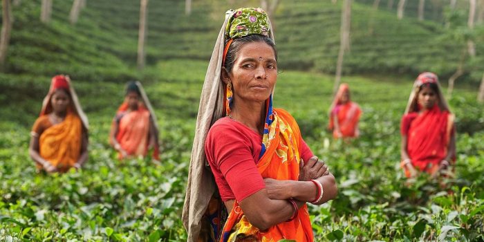The Benefits Of Seeking Organic Fairtrade Goods
